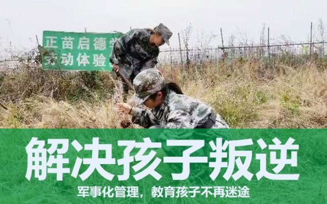 叛逆期孩子的教育(對叛逆期的孩子應該怎樣正確教育)(圖1) 叛逆期孩子的教育(對叛逆期的孩子應該怎樣正確教育)(圖1)